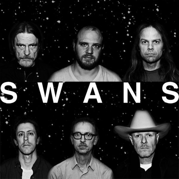 Display_swansband2