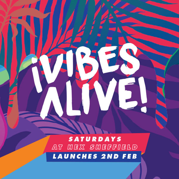 Display vibes alive square 2019